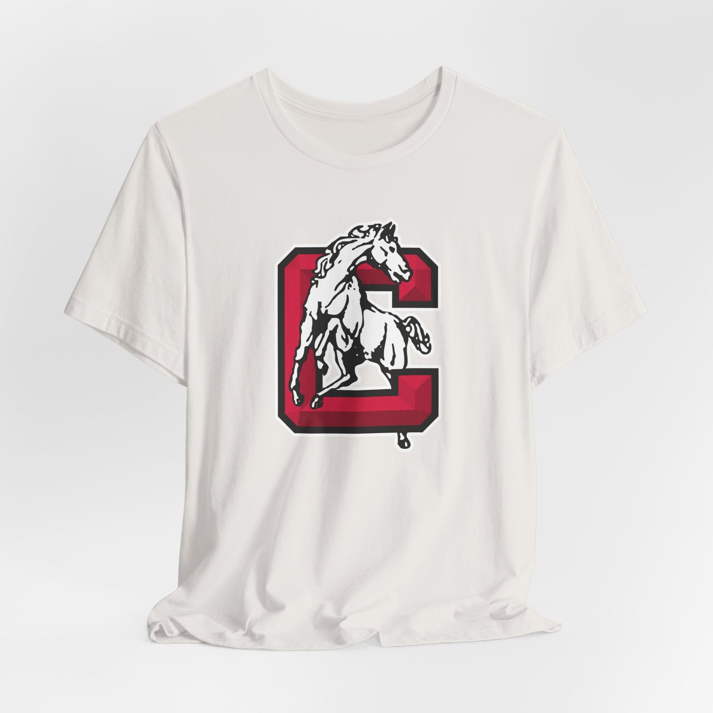 Jersey Short Sleeve Tee