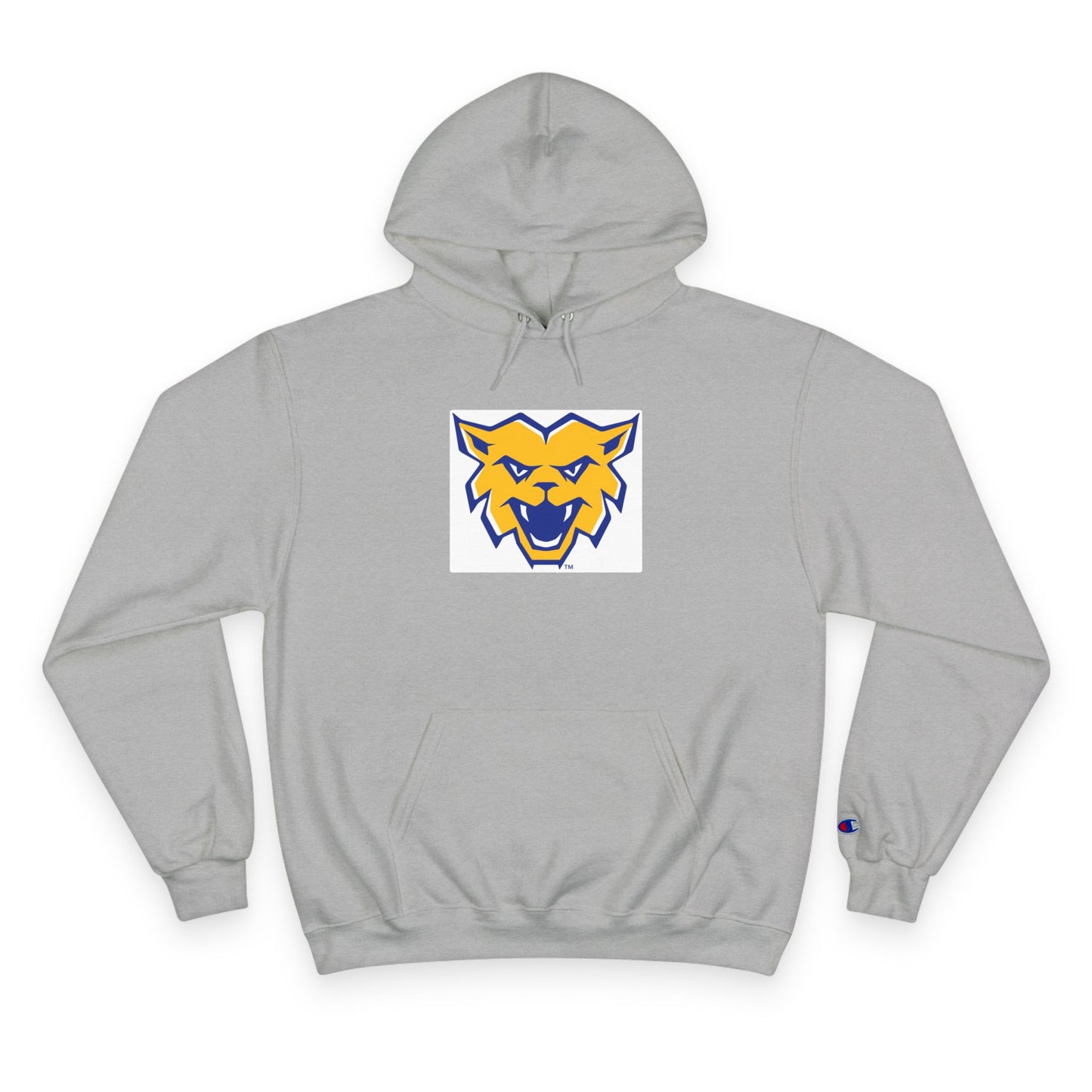 Champion Powerblend Fleece Pullover Hoodie