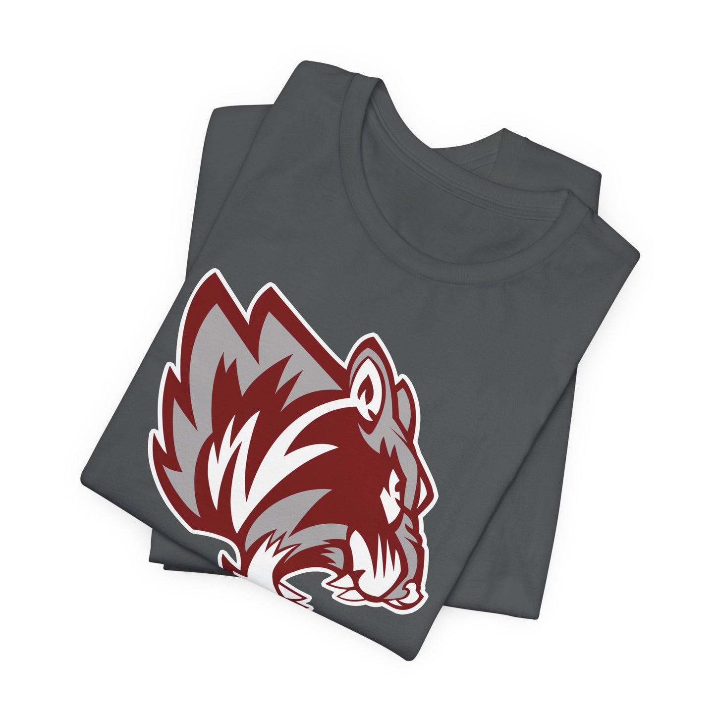 Jersey Short Sleeve Tee