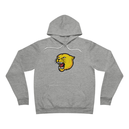Sponge Fleece Pullover Hoodie