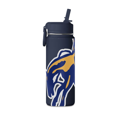 Mini Water Bottle, 20oz
