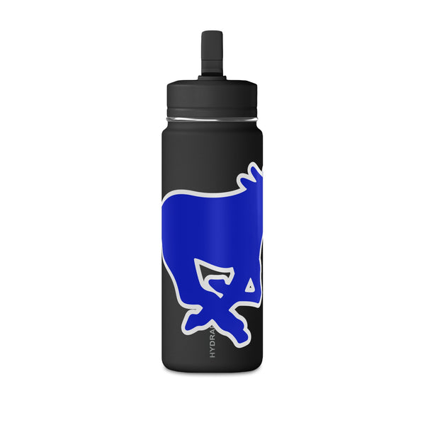 Mini Water Bottle, 20oz