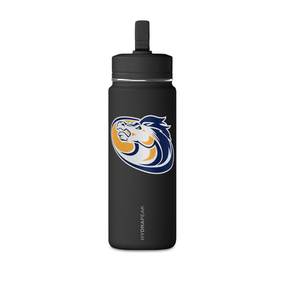 Mini Water Bottle, 20oz