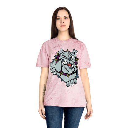 Color Blast School Spirit Tee