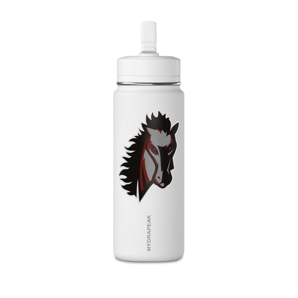 Mini Water Bottle, 20oz