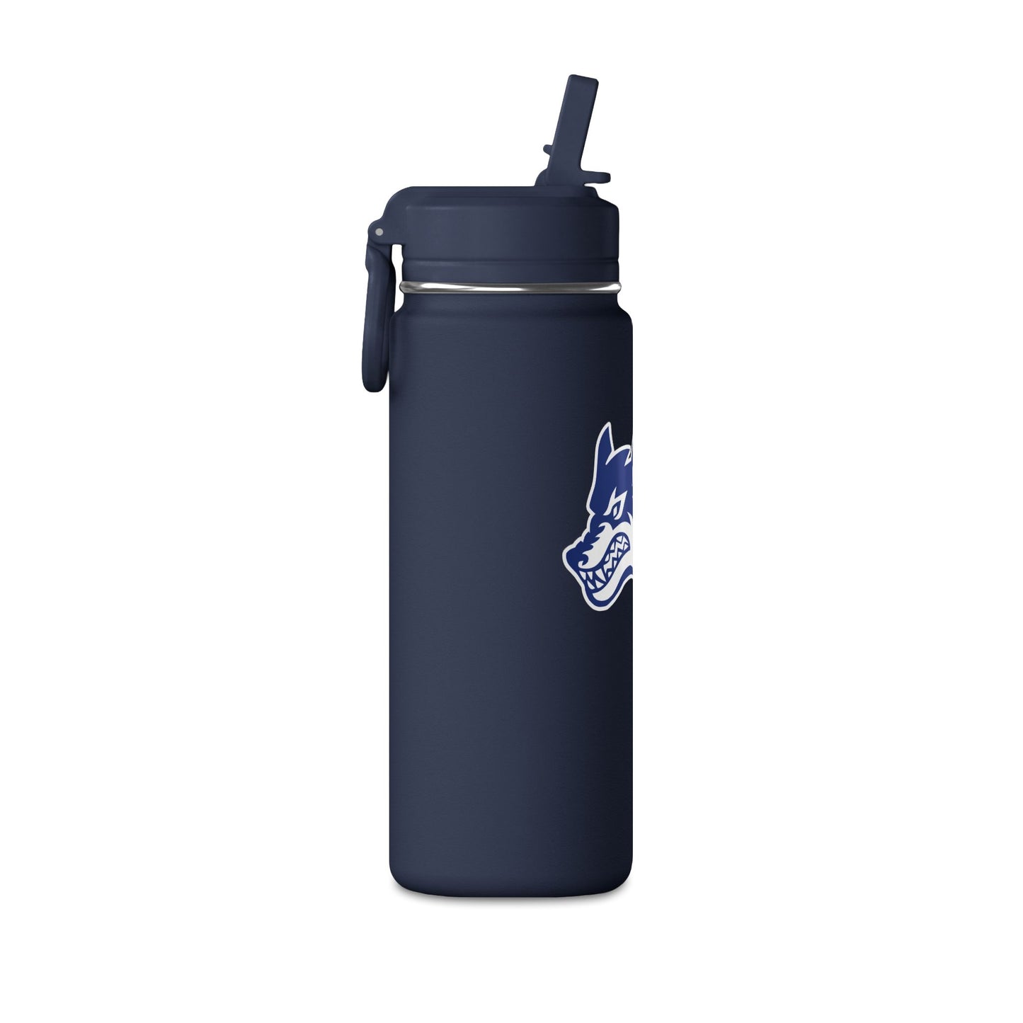 Mini Water Bottle, 20oz