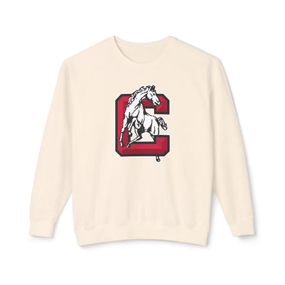 Lightweight Crewneck Sweatshirt