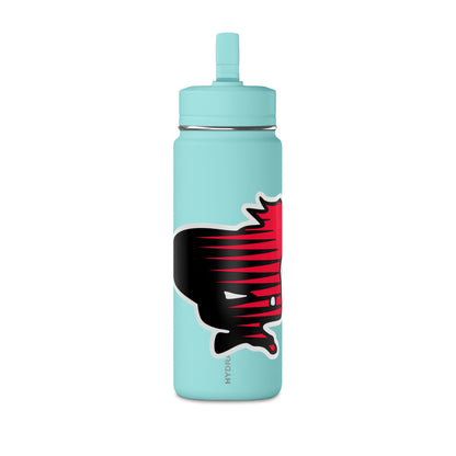 Mini Water Bottle, 20oz
