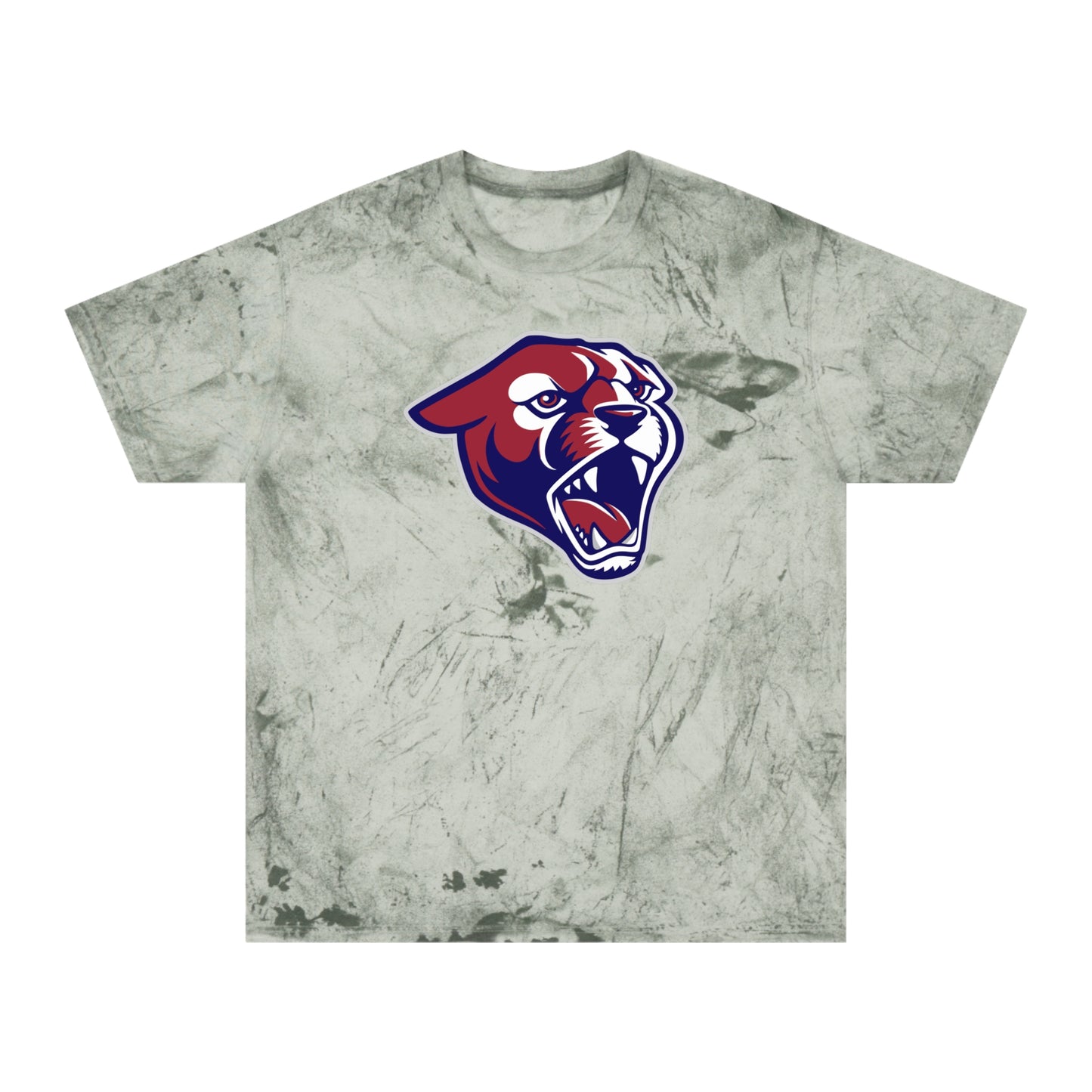 Color Blast School Spirit Tee