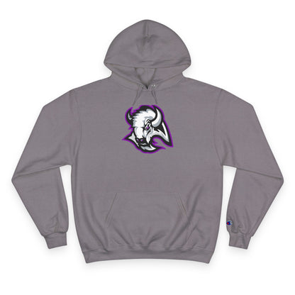 Champion Powerblend Fleece Pullover Hoodie