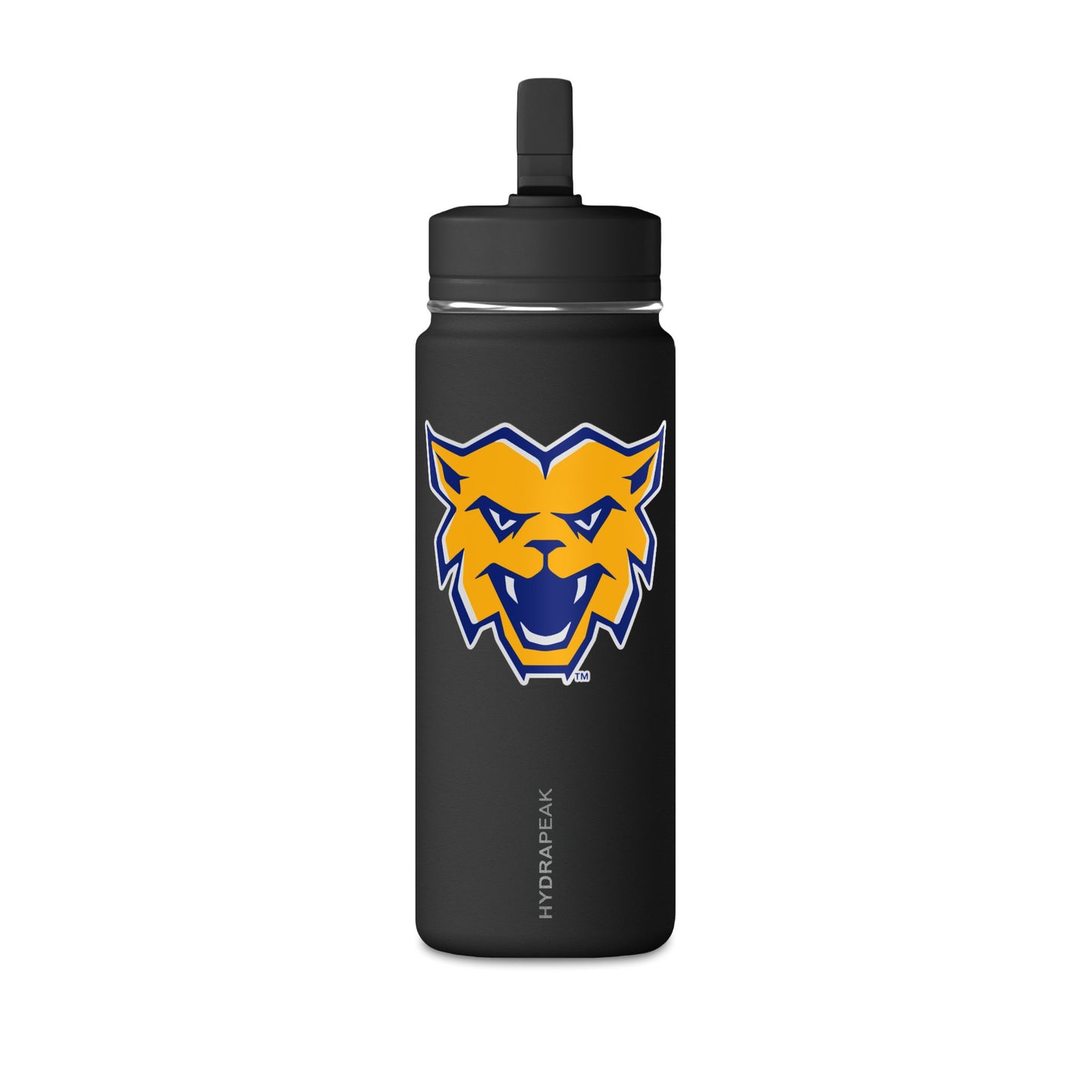 Mini Water Bottle, 20oz