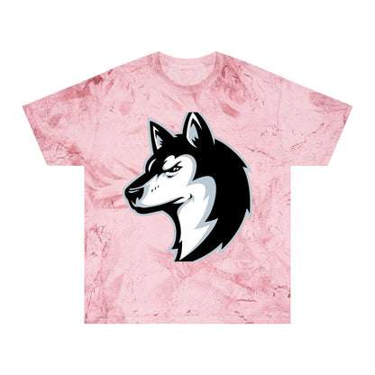 Color Blast School Spirit Tee