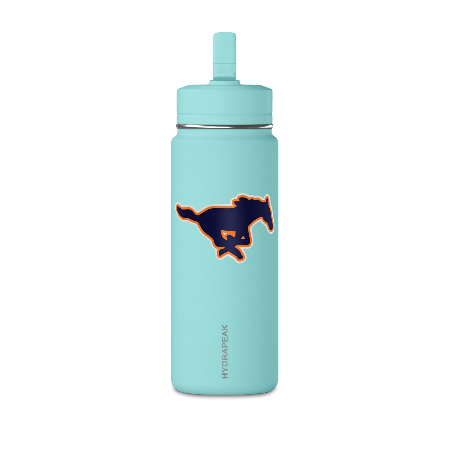 Mini Water Bottle, 20oz