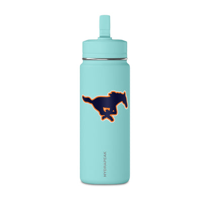 Mini Water Bottle, 20oz