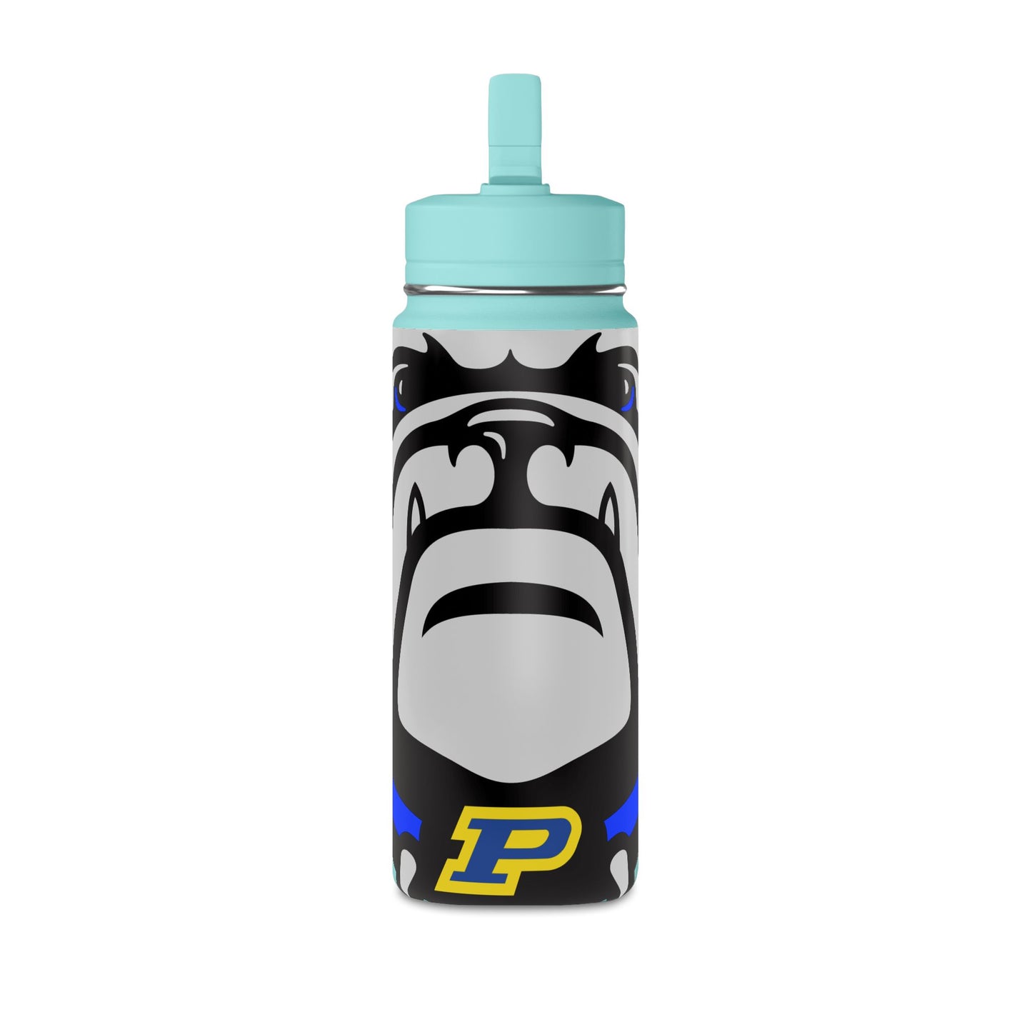 Mini Water Bottle, 20oz