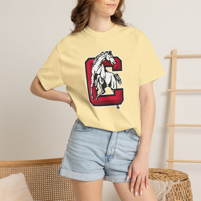Garment-Dyed T-Shirt