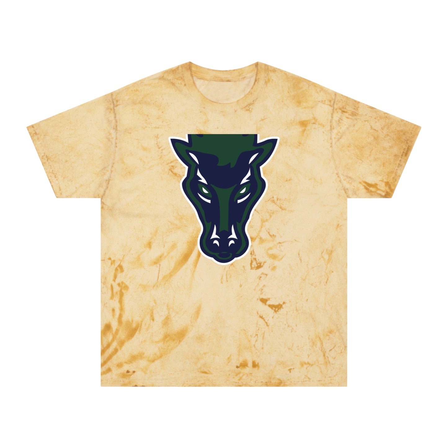 Color Blast School Spirit Tee