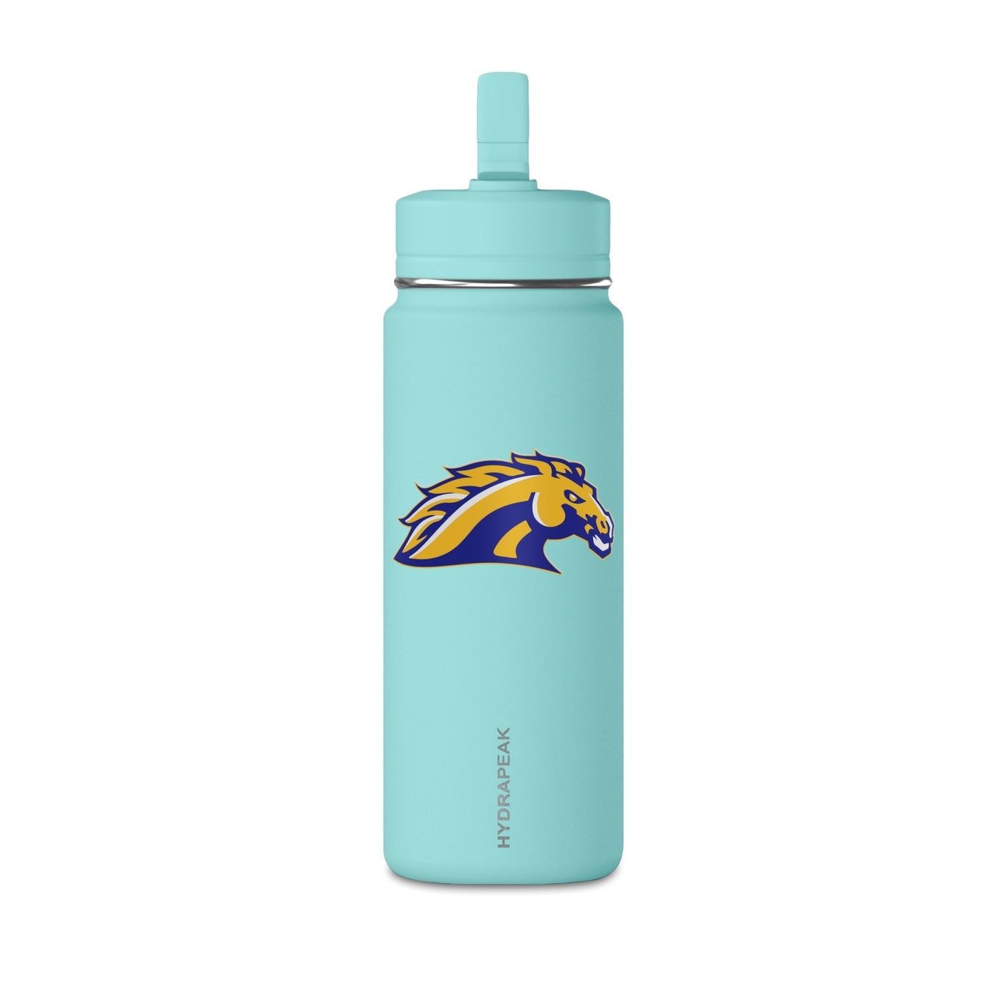 Mini Water Bottle, 20oz