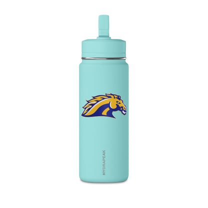 Mini Water Bottle, 20oz