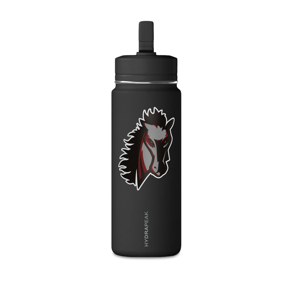 Mini Water Bottle, 20oz