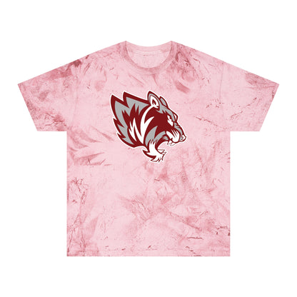 Color Blast School Spirit Tee