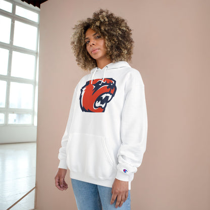 Champion Powerblend Fleece Pullover Hoodie