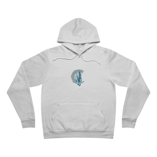 Sponge Fleece Pullover Hoodie