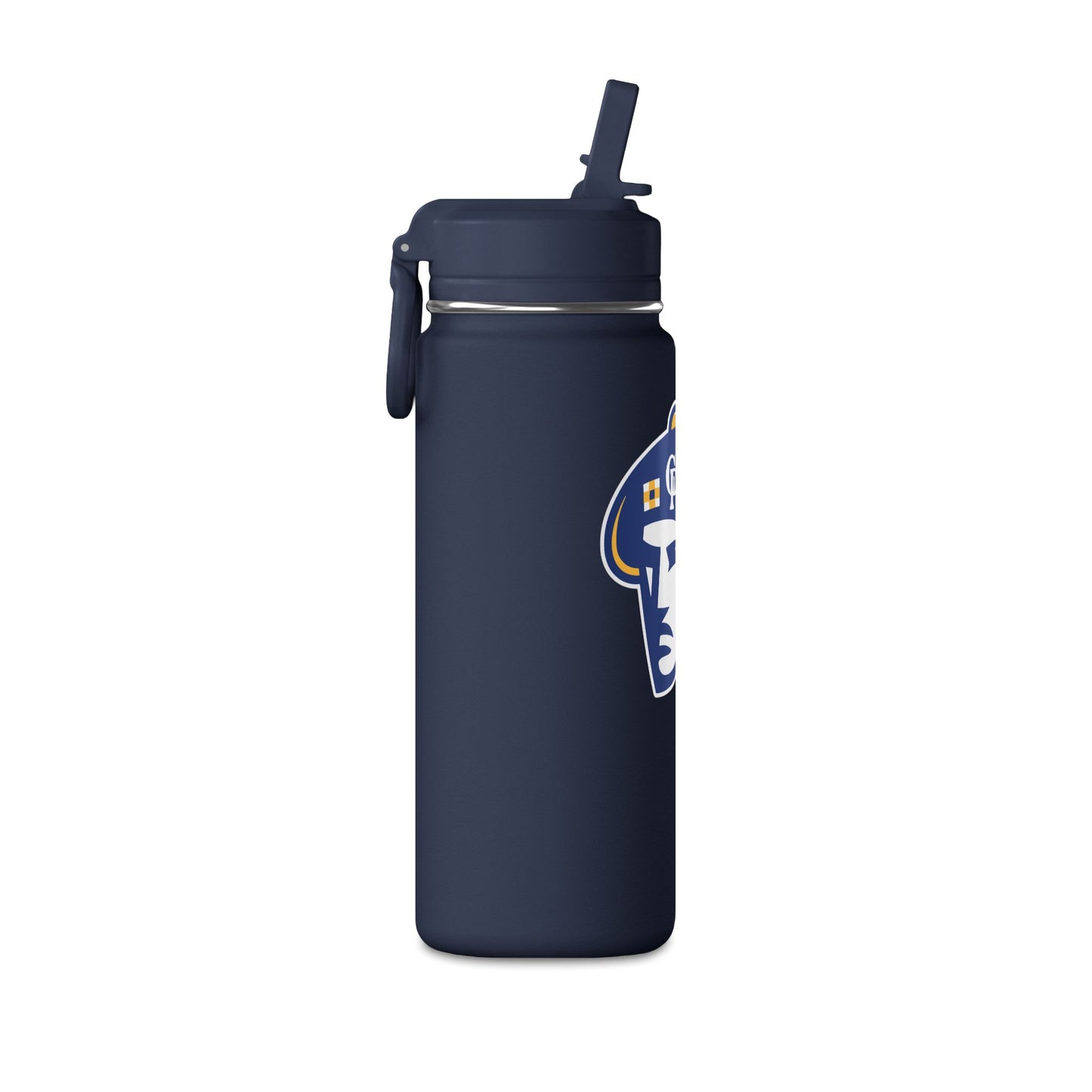Mini Water Bottle, 20oz