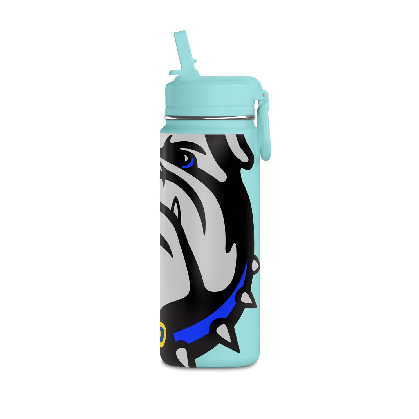 Mini Water Bottle, 20oz