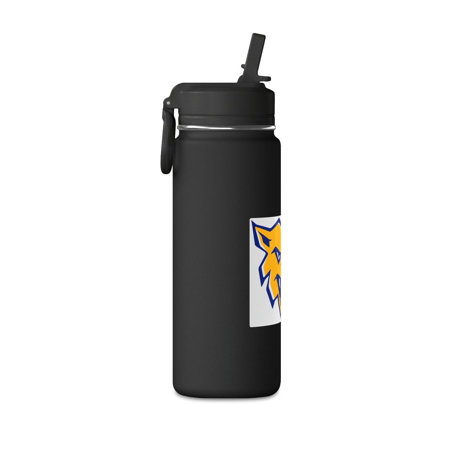 Mini Water Bottle, 20oz