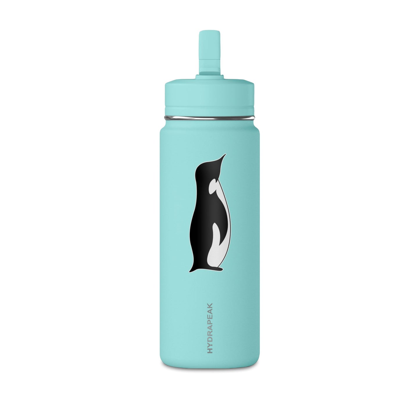 Mini Water Bottle, 20oz