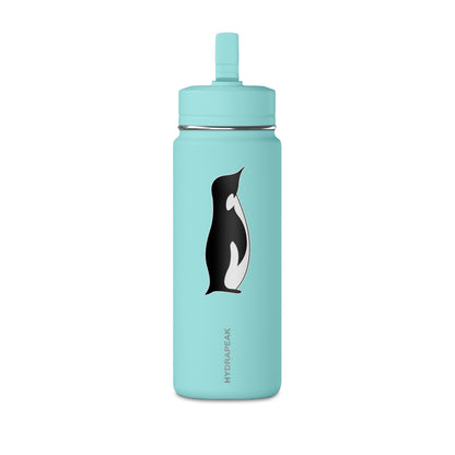 Mini Water Bottle, 20oz