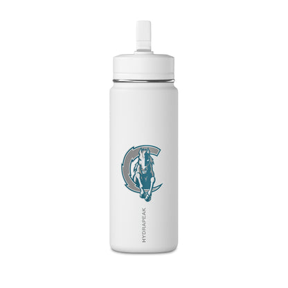 Mini Water Bottle, 20oz