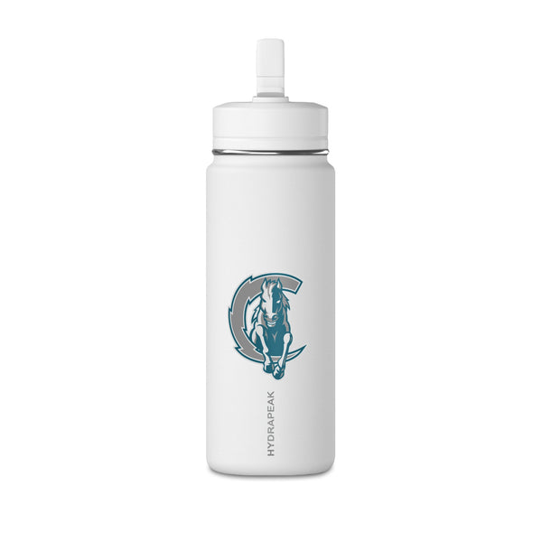Mini Water Bottle, 20oz