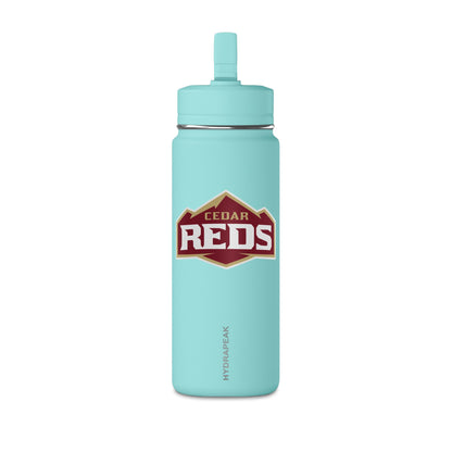 Mini Water Bottle, 20oz