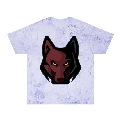 Color Blast School Spirit Tee