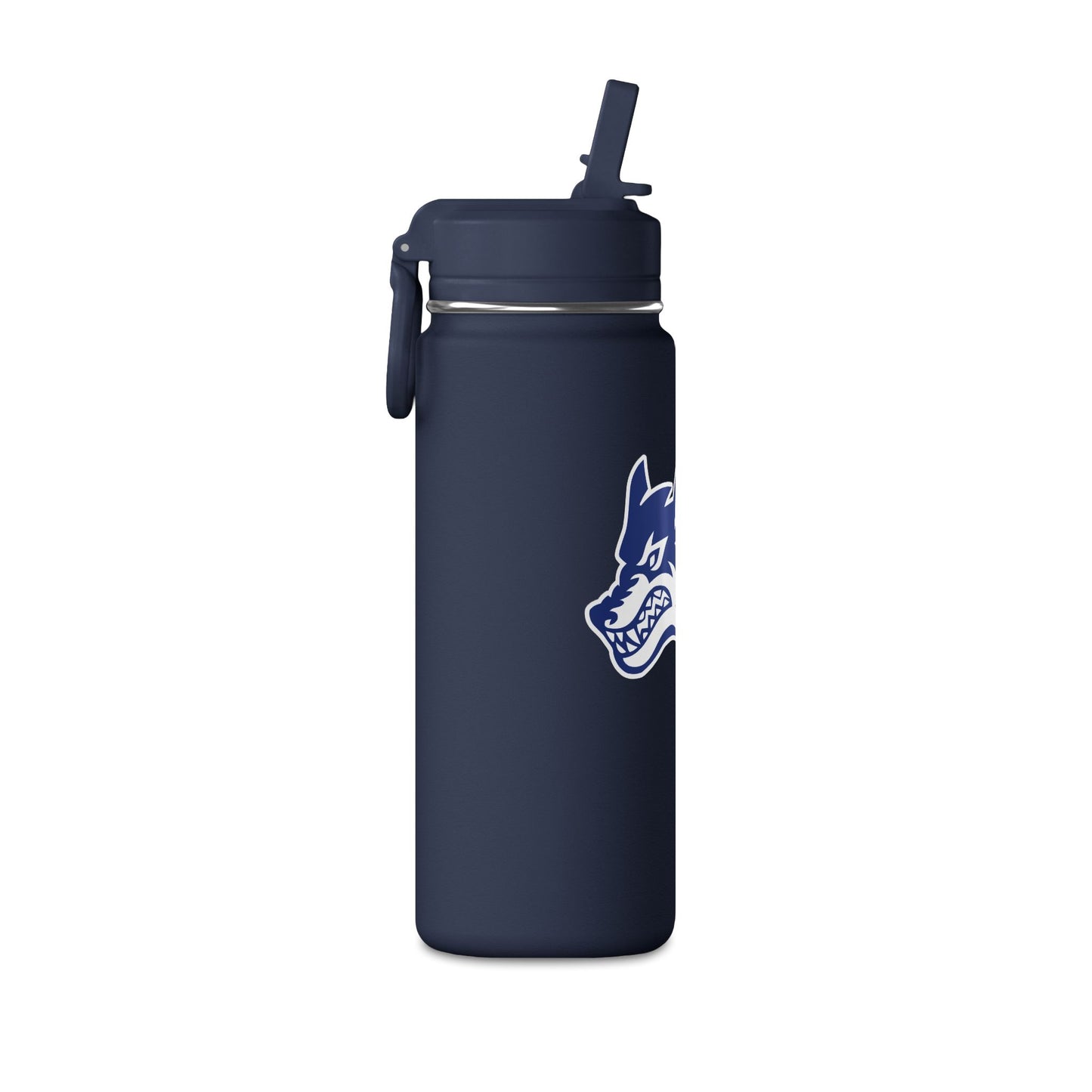 Mini Water Bottle, 20oz