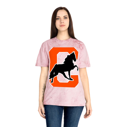 Color Blast School Spirit Tee