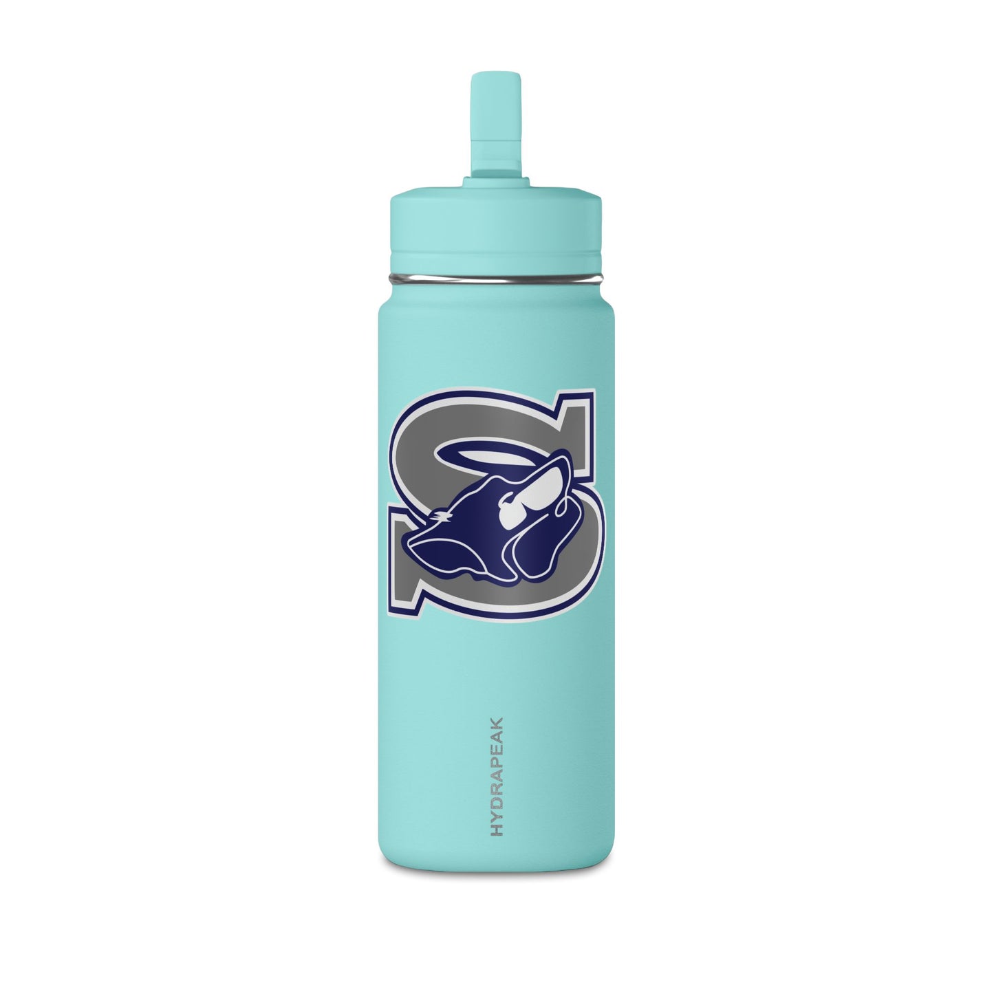 Mini Water Bottle, 20oz