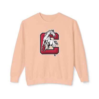 Lightweight Crewneck Sweatshirt