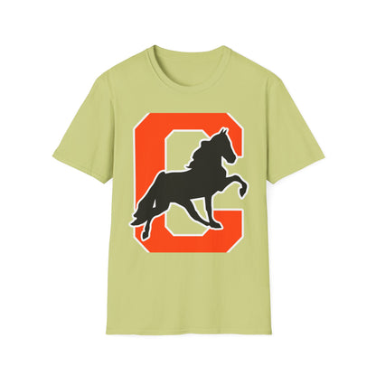 Softstyle T-Shirt