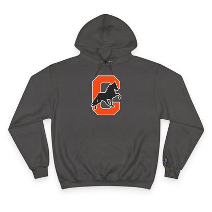 Champion Powerblend Fleece Pullover Hoodie