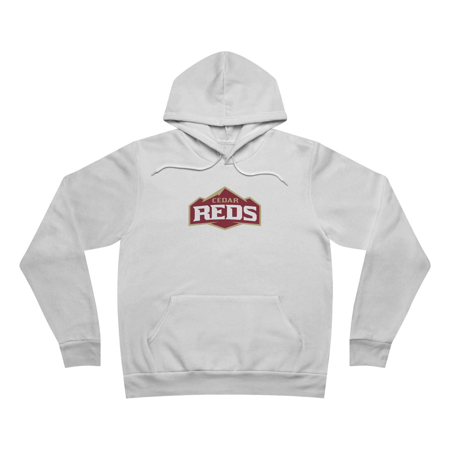 Sponge Fleece Pullover Hoodie