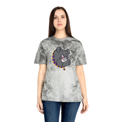 Color Blast School Spirit Tee