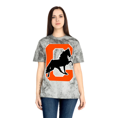 Color Blast School Spirit Tee