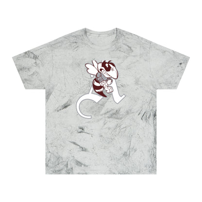 Color Blast School Spirit Tee