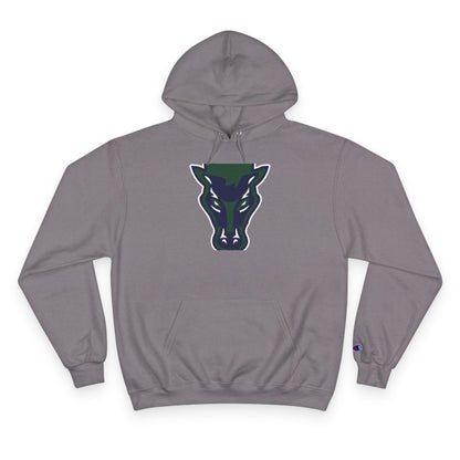 Champion Powerblend Fleece Pullover Hoodie