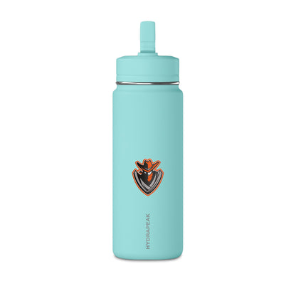 Mini Water Bottle, 20oz