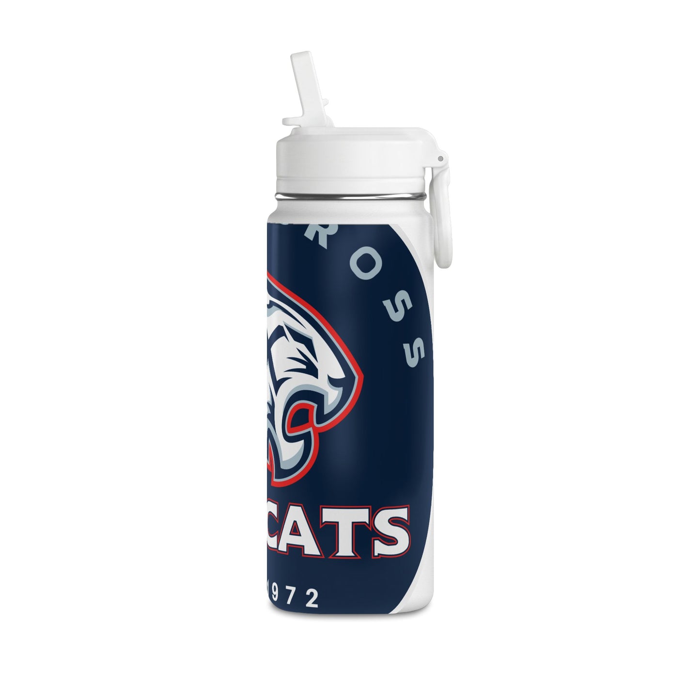 Mini Water Bottle, 20oz