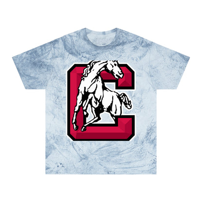 Color Blast School Spirit Tee